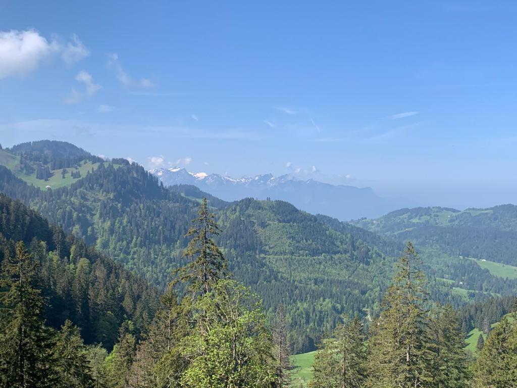 Boutique Hotel Corbetta - Spa 60M2 - La Montagne A 5 Minutes De L'Autoroute A12 Aux Paccots Sur Montreux - Nouveau Loft Familial - Profitez Du Lac Leman Et Des Montagnes En Meme Temps Les Paccots Kültér fotó