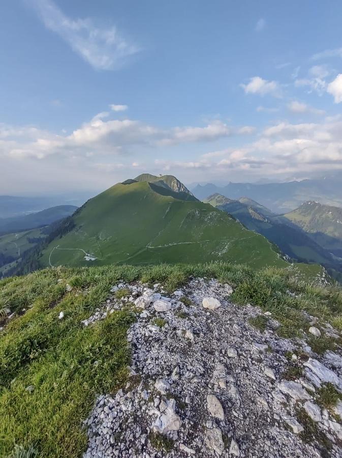 Boutique Hotel Corbetta - Spa 60M2 - La Montagne A 5 Minutes De L'Autoroute A12 Aux Paccots Sur Montreux - Nouveau Loft Familial - Profitez Du Lac Leman Et Des Montagnes En Meme Temps Les Paccots Kültér fotó